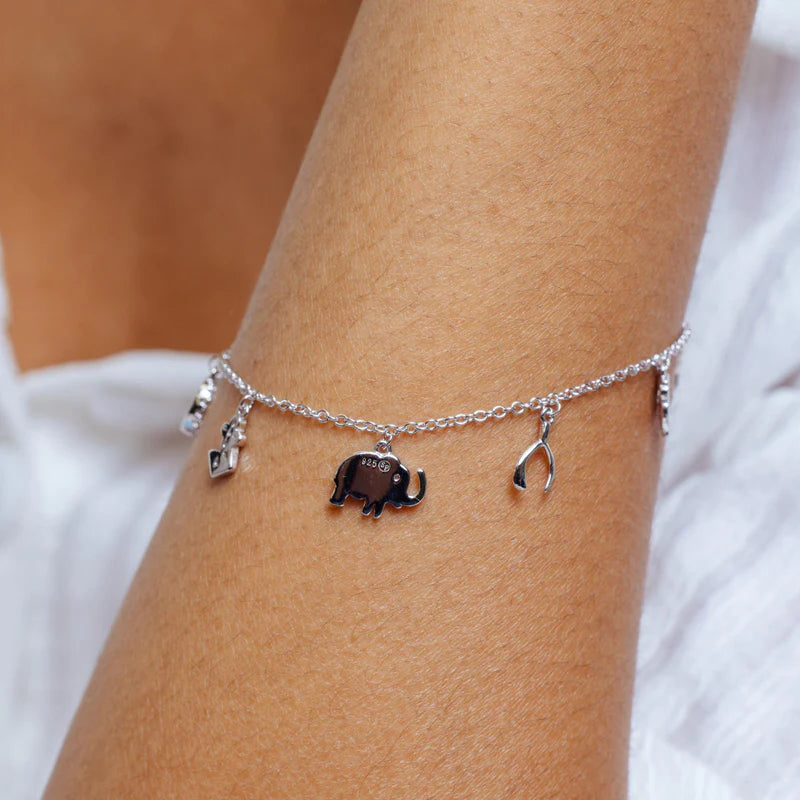 925 Sterling Silver Multi Charm CZ Adjustable Good Luck Bracelet